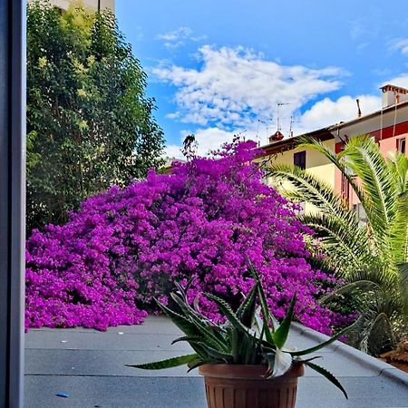 Ancora Qui, Nel Golfo Dei Poeti Apartment ลาสเปเซีย ภายนอก รูปภาพ
