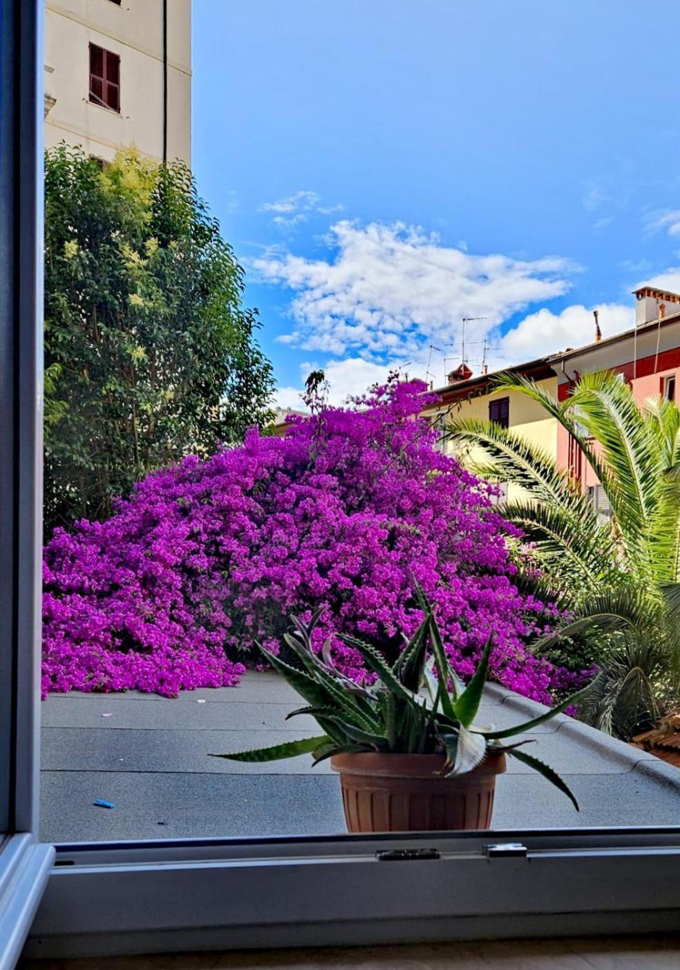 Ancora Qui, Nel Golfo Dei Poeti Apartment ลาสเปเซีย ภายนอก รูปภาพ